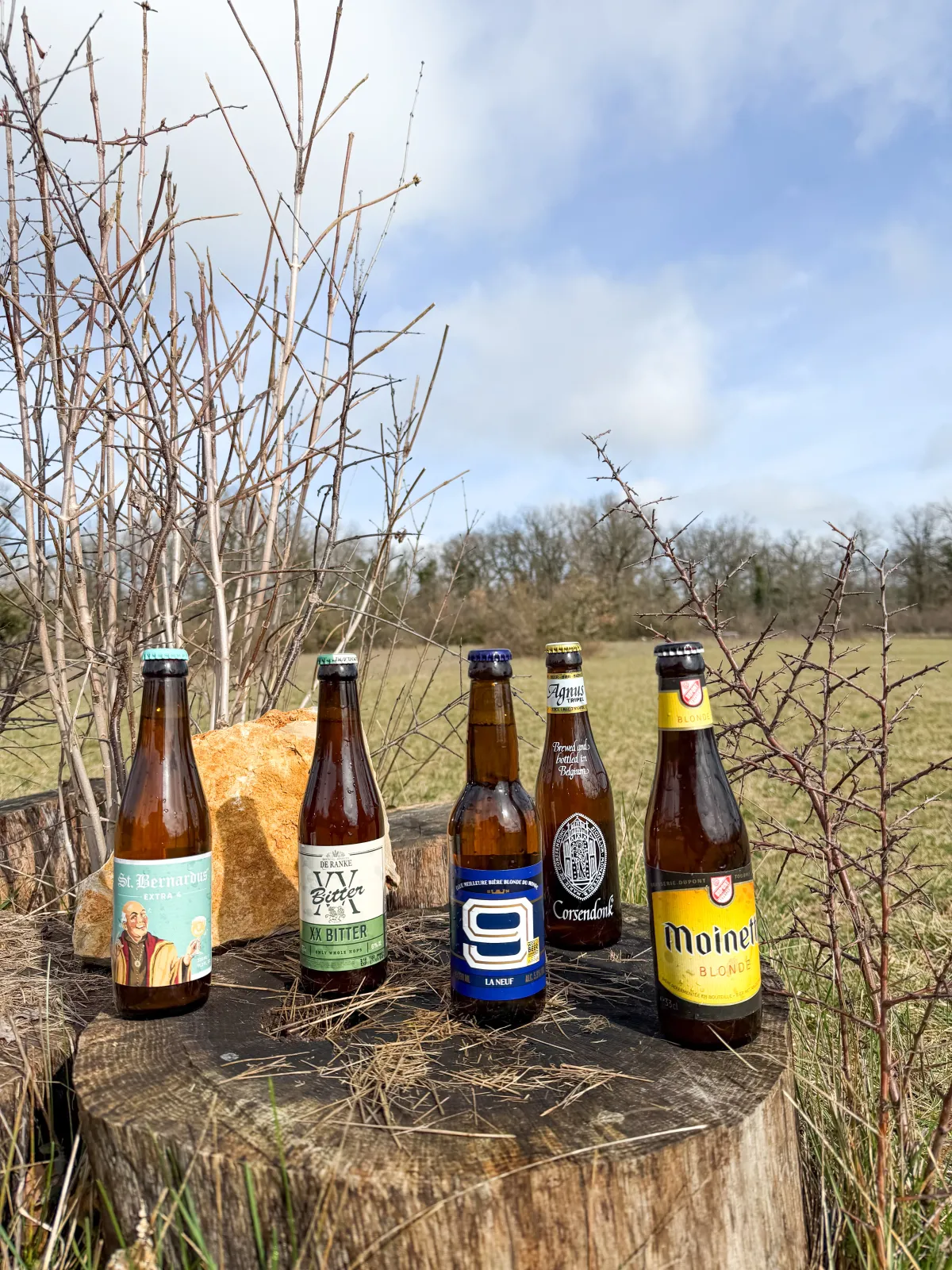 Semaine Saint-Patrick, du 16 au 20 mars